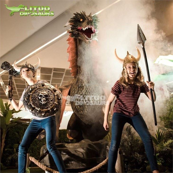 2Brown Dragon(001)